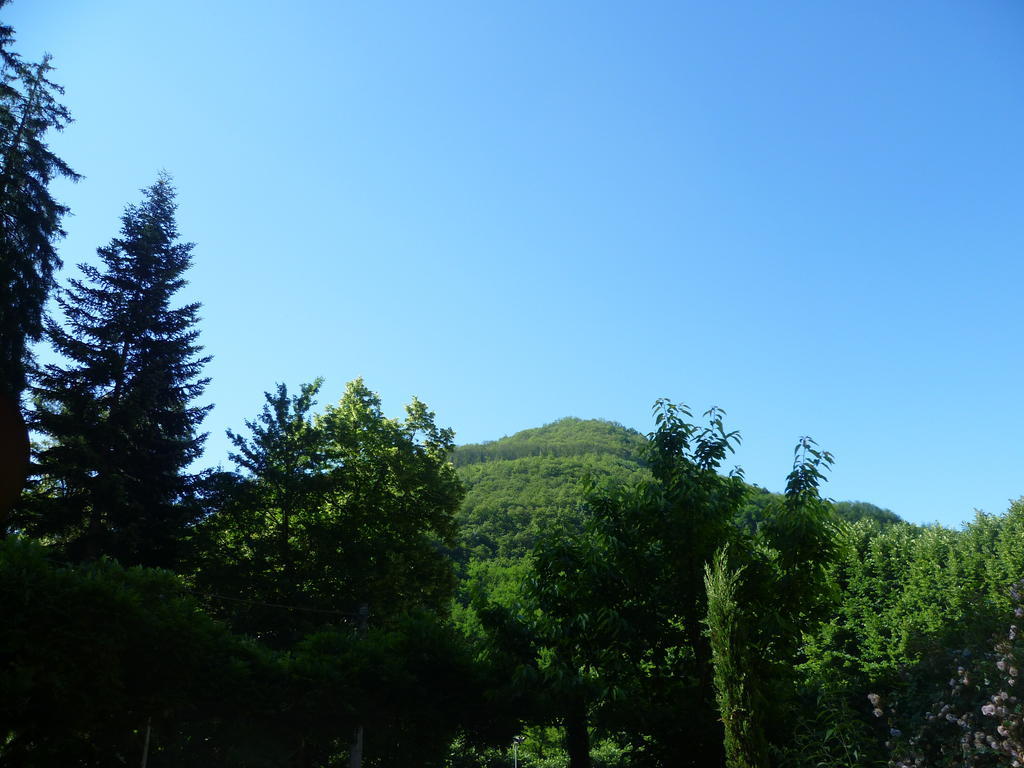 Villa Lucchesi Bagni di Lucca Exterior foto